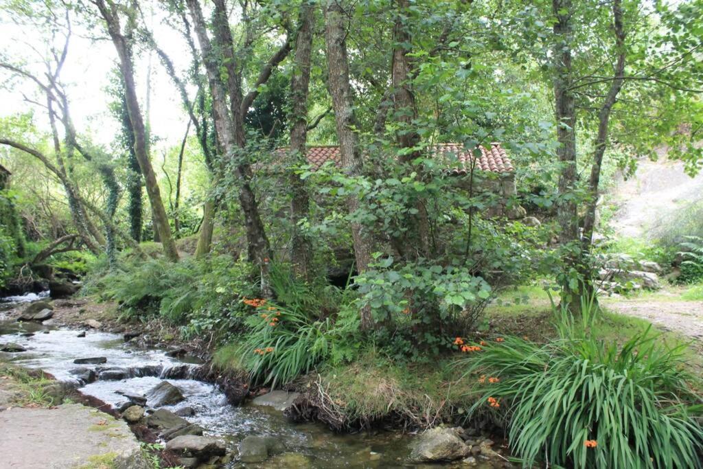 Chalet Meu Lar O Casal Екстериор снимка